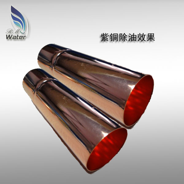 环境教育——走向可持续未来的第一步
